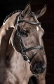 LM Arika Flash Bridle